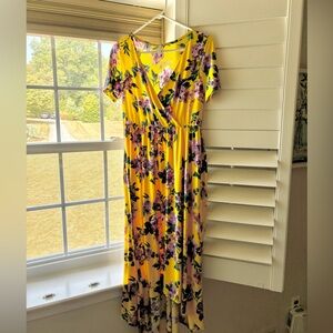 Pinkblush maternity dresses